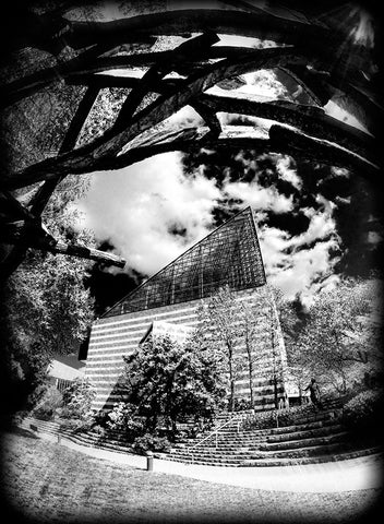 Aquarium Sun BW Holga Black Modern Wood Framed Art Print by Lee, Rachel