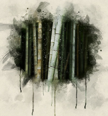 Bamboo Watercolor Black Modern Wood Framed Art Print by Lee, Rachel