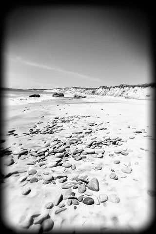 Beach 26 BW Holga Black Modern Wood Framed Art Print by Lee, Rachel