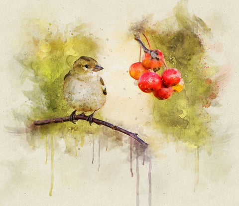 Bird 1 Watercolor White Modern Wood Framed Art Print with Double Matting by Lee, Rachel