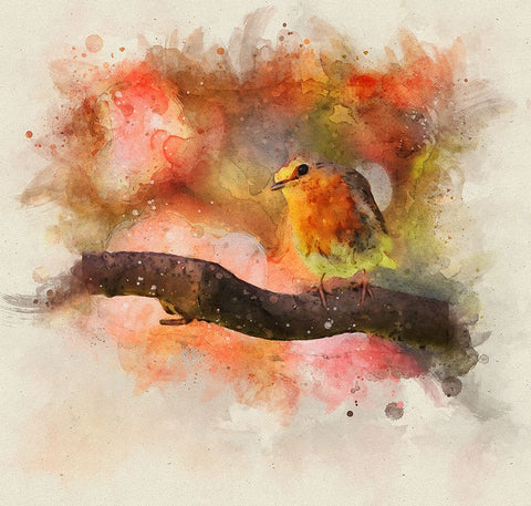 Bird 18 Watercolor Black Modern Wood Framed Art Print by Lee, Rachel