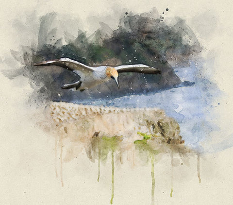 Bird 19 Watercolor White Modern Wood Framed Art Print with Double Matting by Lee, Rachel