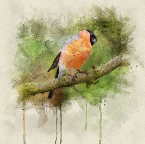 Bird 2 Watercolor White Modern Wood Framed Art Print with Double Matting by Lee, Rachel