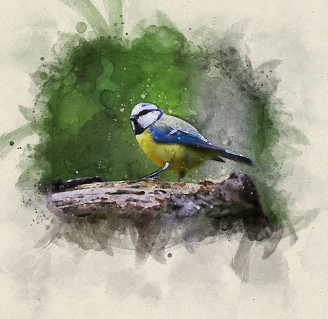 Bird 22 Watercolor White Modern Wood Framed Art Print with Double Matting by Lee, Rachel