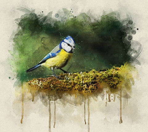 Bird 3 Watercolor White Modern Wood Framed Art Print with Double Matting by Lee, Rachel