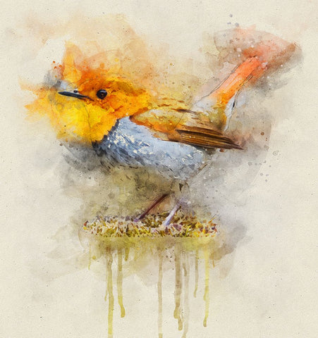 Bird 4 Watercolor White Modern Wood Framed Art Print with Double Matting by Lee, Rachel