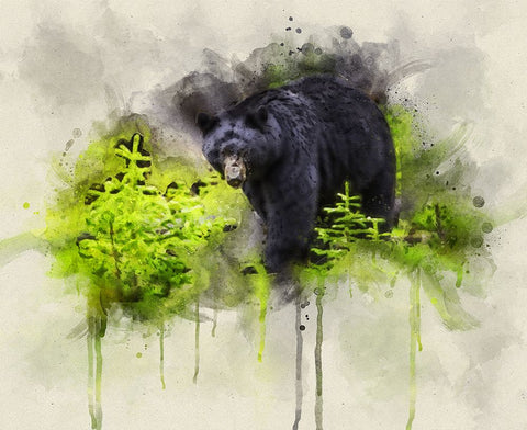 Black Bear Watercolor Black Modern Wood Framed Art Print by Lee, Rachel