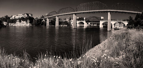 Bridge Poppies Sepia White Modern Wood Framed Art Print with Double Matting by Lee, Rachel