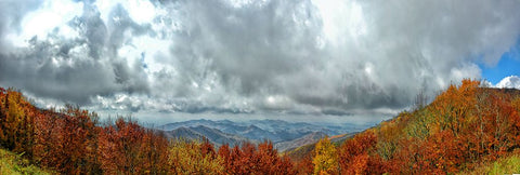 Cherohala Pano Black Modern Wood Framed Art Print by Lee, Rachel