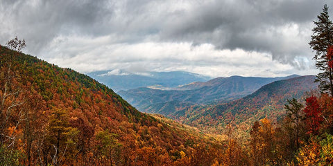 Cool Springs Overlook 2 Black Modern Wood Framed Art Print by Lee, Rachel