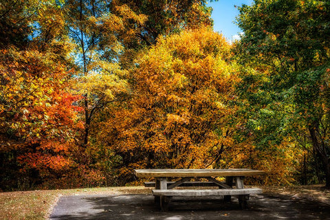 Fall Picnic Black Modern Wood Framed Art Print by Lee, Rachel