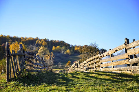 Fence 1 Black Modern Wood Framed Art Print by Lee, Rachel