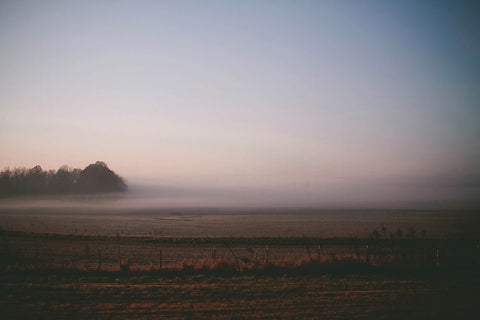 Foggy Field Black Modern Wood Framed Art Print by Lee, Rachel