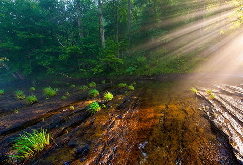 Hiwassee Morning Rays Black Ornate Wood Framed Art Print with Double Matting by Lee, Rachel