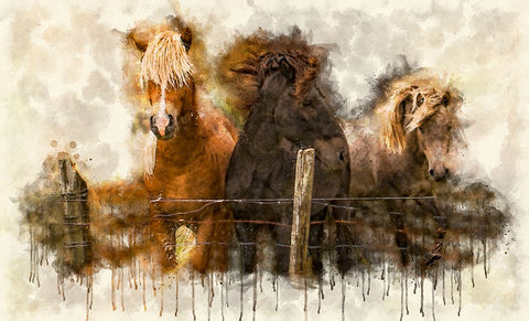 Horse 2 Watercolor White Modern Wood Framed Art Print with Double Matting by Lee, Rachel