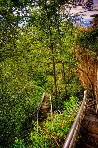 Lookout Trail Stairs Black Modern Wood Framed Art Print by Lee, Rachel