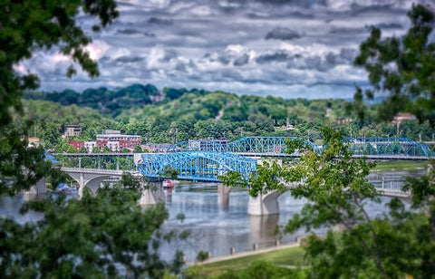 Market Bridge From Cameron Hill Tilt Shift Black Modern Wood Framed Art Print by Lee, Rachel