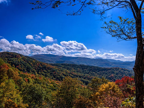 NC Fall Mountains 1 Black Modern Wood Framed Art Print by Lee, Rachel