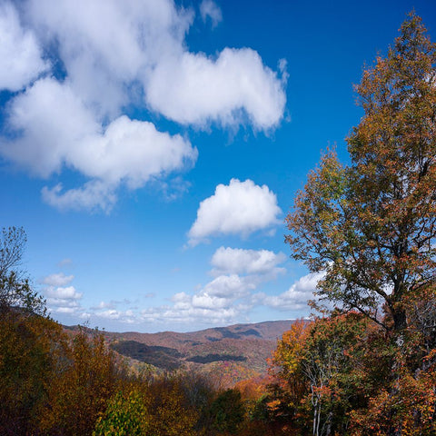 NC Fall Mountains 2 Black Modern Wood Framed Art Print by Lee, Rachel