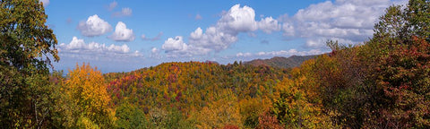 NC Fall Mountains 3 White Modern Wood Framed Art Print with Double Matting by Lee, Rachel