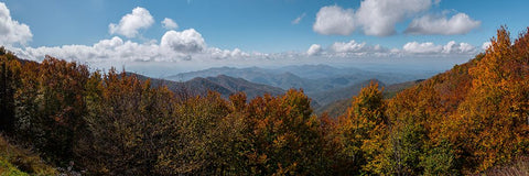 NC Fall Mountains 4 Black Ornate Wood Framed Art Print with Double Matting by Lee, Rachel