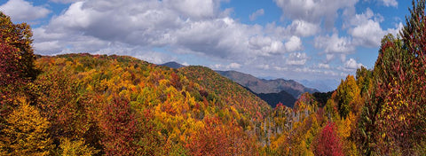 NC Fall Mountains 5 White Modern Wood Framed Art Print with Double Matting by Lee, Rachel