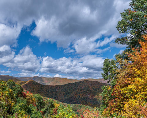 NC Fall Mountains 7 White Modern Wood Framed Art Print with Double Matting by Lee, Rachel