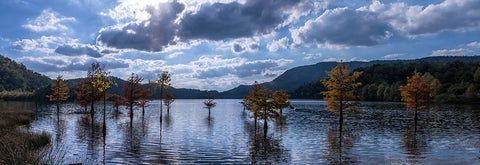 Ocoee Lake Pano White Modern Wood Framed Art Print with Double Matting by Lee, Rachel