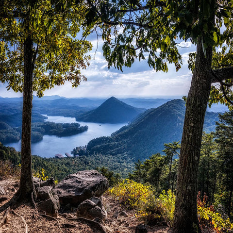 Ocoee View Black Modern Wood Framed Art Print by Lee, Rachel