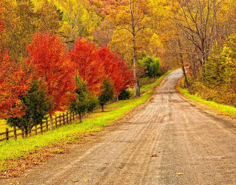 Old Country Road Black Ornate Wood Framed Art Print with Double Matting by Lee, Rachel