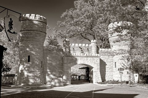 Point Park Gate 2 Sepia Black Ornate Wood Framed Art Print with Double Matting by Lee, Rachel