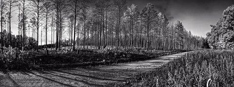 Prentice Road Pano BW White Modern Wood Framed Art Print with Double Matting by Lee, Rachel