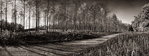 Prentice Road Pano Sepia White Modern Wood Framed Art Print with Double Matting by Lee, Rachel