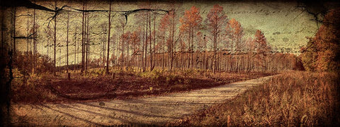 Prentice Road Pano Vintage Black Modern Wood Framed Art Print by Lee, Rachel