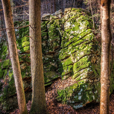 Rocks 4 Black Modern Wood Framed Art Print by Lee, Rachel