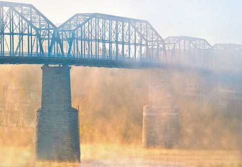 Scenic City 57 Black Ornate Wood Framed Art Print with Double Matting by Lee, Rachel