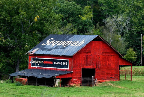 Sequoyah Caverns Barn Black Ornate Wood Framed Art Print with Double Matting by Lee, Rachel