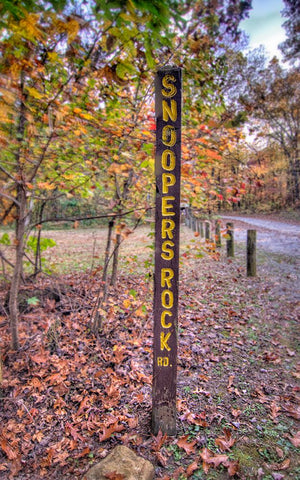 Snoopers Rock Road Sign Black Ornate Wood Framed Art Print with Double Matting by Lee, Rachel