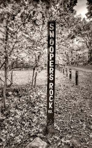 Snoopers Rock Road Sign Sepia Black Ornate Wood Framed Art Print with Double Matting by Lee, Rachel