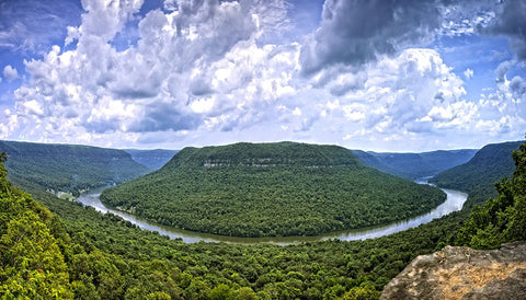 Snoopers Rock Summer Black Modern Wood Framed Art Print by Lee, Rachel