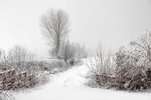 Snowy Farm Black Modern Wood Framed Art Print by Lee, Rachel