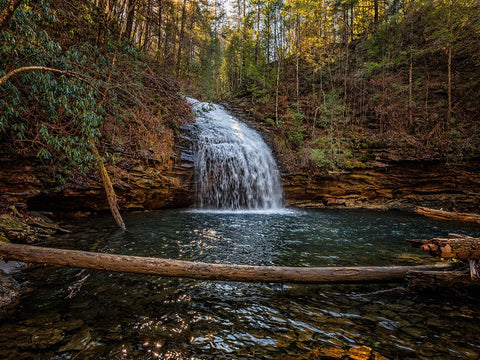 Stinging Fork Falls 1 White Modern Wood Framed Art Print with Double Matting by Lee, Rachel