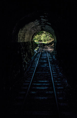 Train Enter Tunnel 2 Black Ornate Wood Framed Art Print with Double Matting by Lee, Rachel