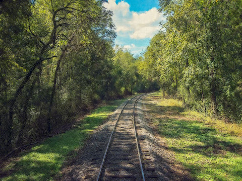 Train Track 4 Black Ornate Wood Framed Art Print with Double Matting by Lee, Rachel