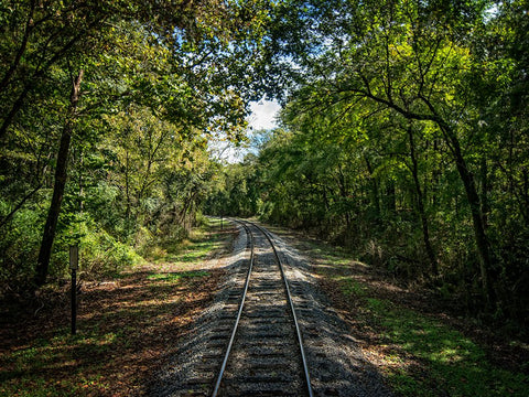 Train Track 6 White Modern Wood Framed Art Print with Double Matting by Lee, Rachel