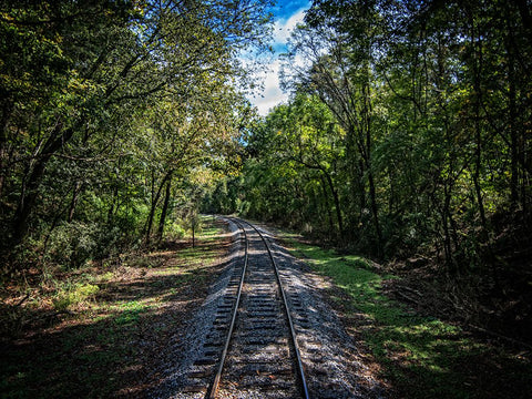 Train Track 7 White Modern Wood Framed Art Print with Double Matting by Lee, Rachel