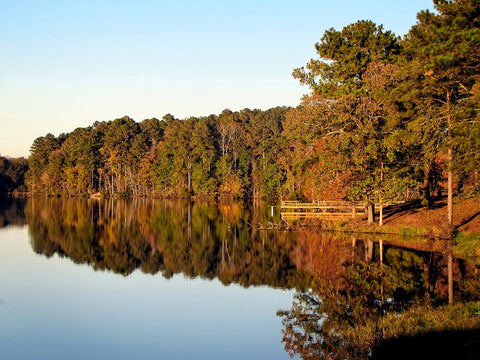 Trees And Water 9 Black Modern Wood Framed Art Print by Lee, Rachel