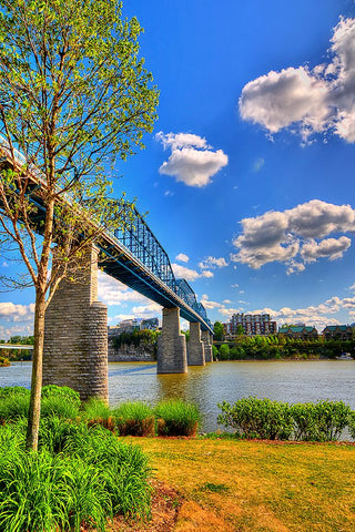 Walnut Bridge From Coolidge White Modern Wood Framed Art Print with Double Matting by Lee, Rachel