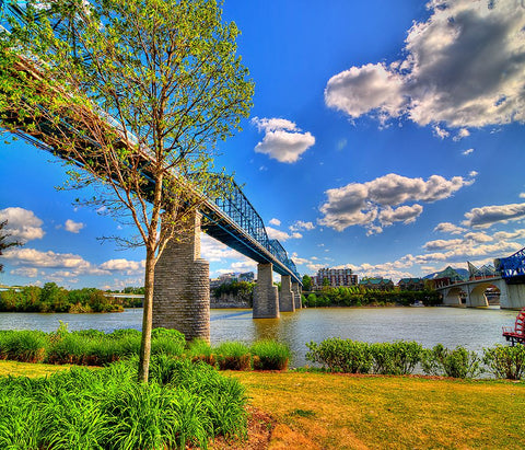 Walnut Bridge From Coolidge Horizontal White Modern Wood Framed Art Print with Double Matting by Lee, Rachel