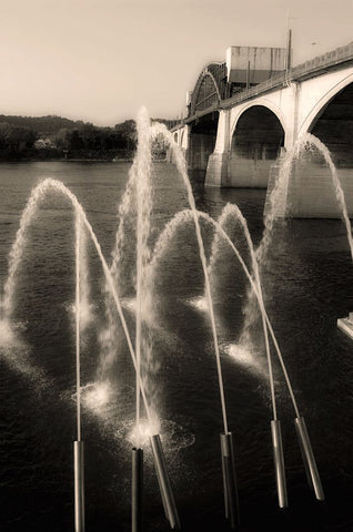 Water Cannons Sepia Black Modern Wood Framed Art Print by Lee, Rachel